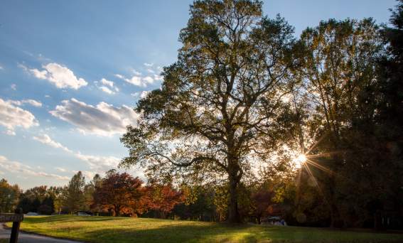 Discover New Castle County’s Delaware State Parks: Collect, Explore, and Learn!