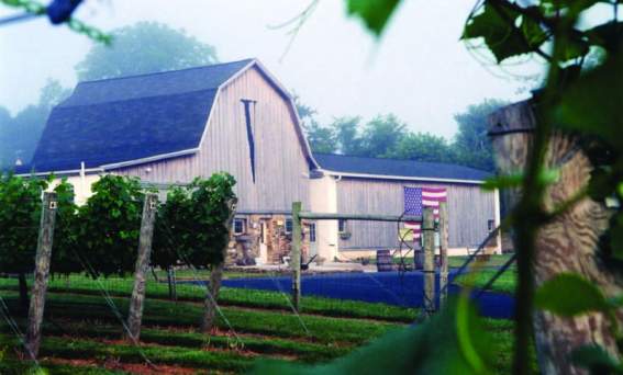 Va La Vineyards