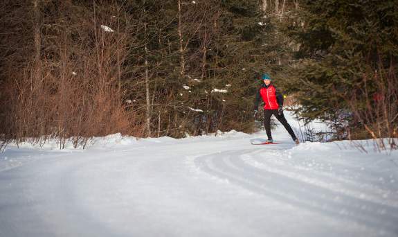 Cross-Country Skiing / skier