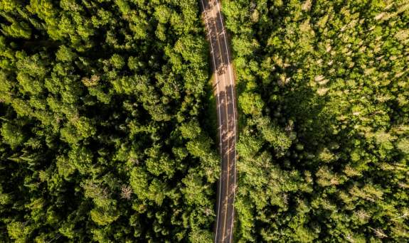 The Gunflint Trail in Cook County MN