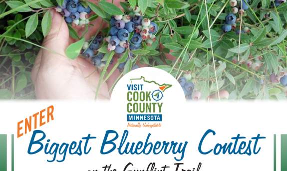 The Biggest Blueberry Contest