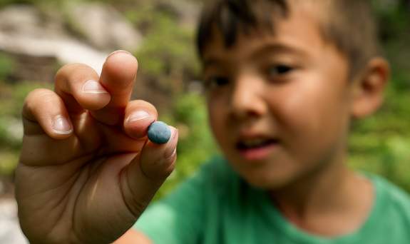 The Biggest Blueberry Season
