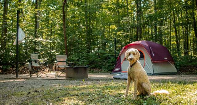 Camping & RV Parks
