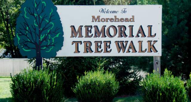 Morehead Community Tree Walk
