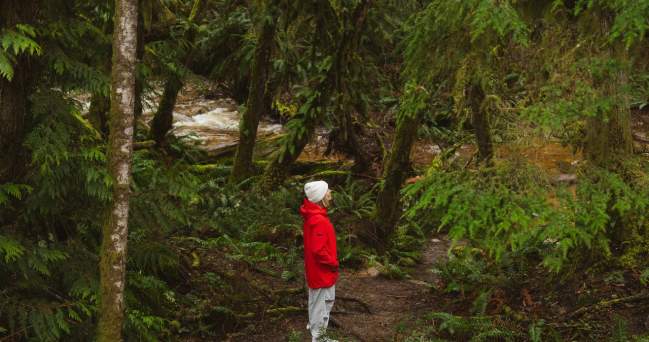 8 Natural Wonders of the Sunshine Coast