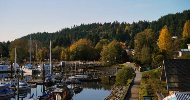 A view of boats in the harbour and yellow and green trees along the path and hillside.