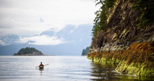 Explore the Waters of the Sunshine Coast with these Operators