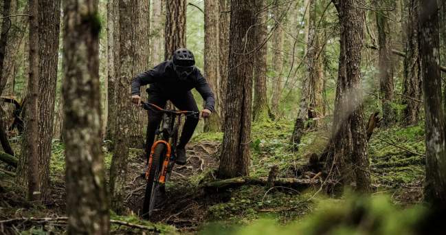A mountain biker rides down a trail surrounded by trees and greenery.