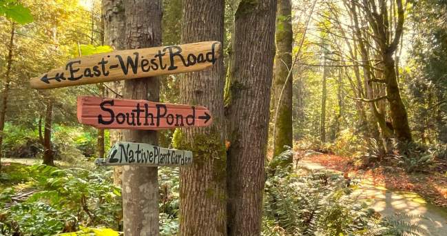 Discover the Sunshine Coast Botanical Garden