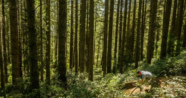 10 Tips for First-Time Mountain Bikers on the Sunshine Coast