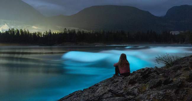 Where to Experience Bioluminescence on the Sunshine Coast