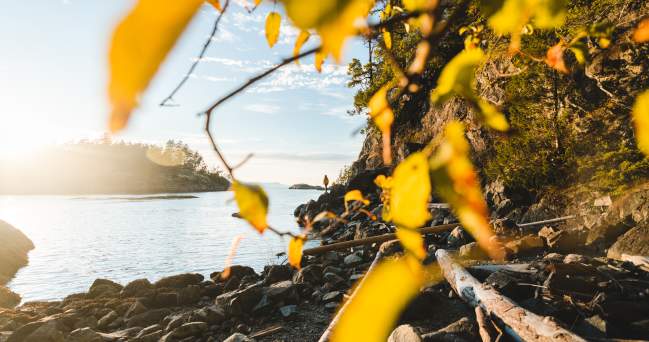 7 Ways to Experience Fall on the Sunshine Coast