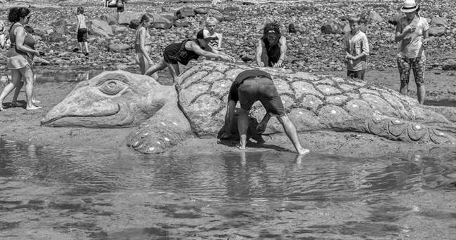 Texada Island Sandcastle Weekend