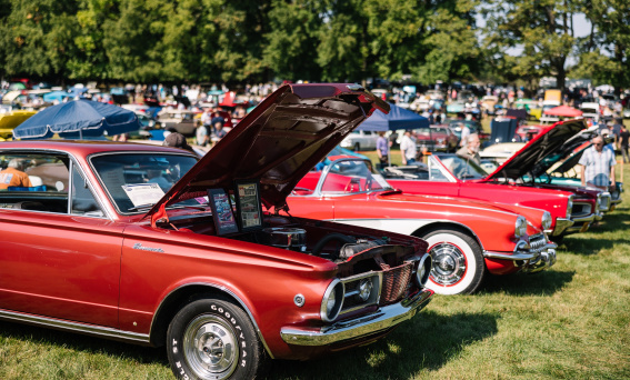 Hagley Car Show