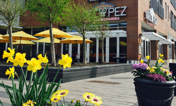 Del Pez Gastropub - Wilmington Riverfront