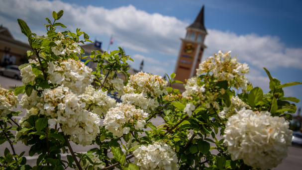 Outlet Shoppes with Flowers