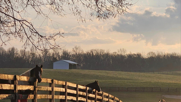 Shelby County Photo