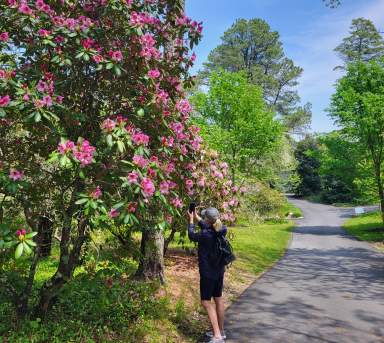 7 Reasons to Love Spring on Cape Cod