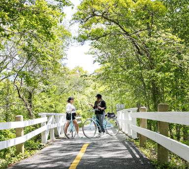 Best Fall Bike Rides