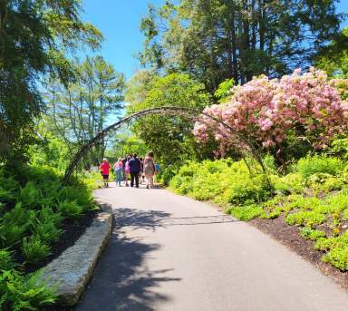 7 Reasons to Love Spring on Cape Cod