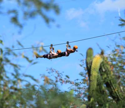 Zipline