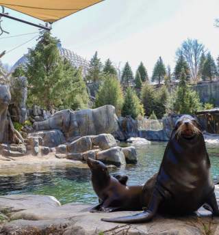 Asian Highlands and the Wildlife Safari Park Both Take First Place in 2022 USA TODAY 10Best