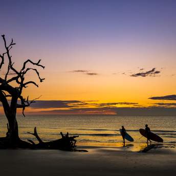 Jekyll Island's iconic Driftwood Beach is especially beautiful at sunrise.