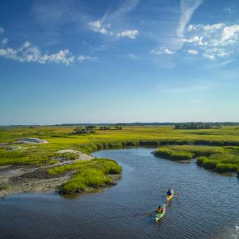 Kayaking though the marsh