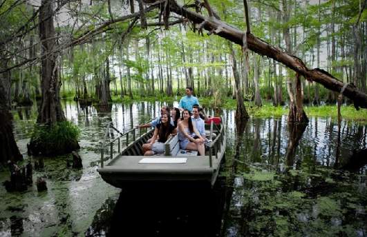 Bayou Swamp Tour