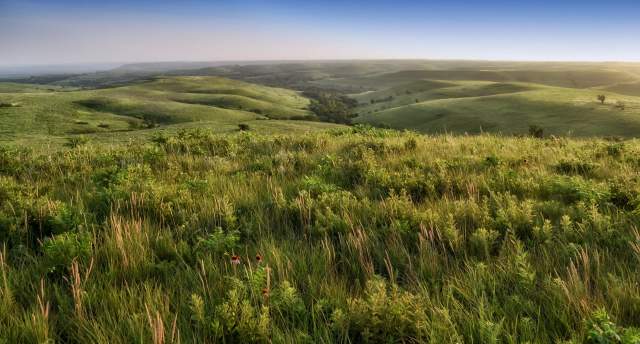 Flint Hills