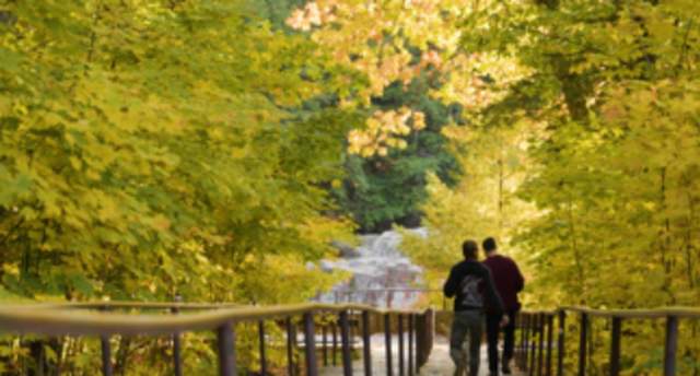 Two people walking down stairway at the Dells of the Eau Claire River