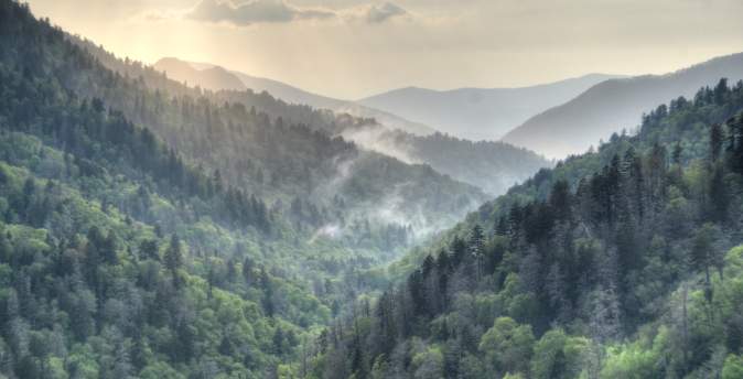 Mountain Scene with Fog