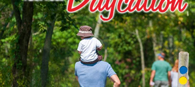 Daycations