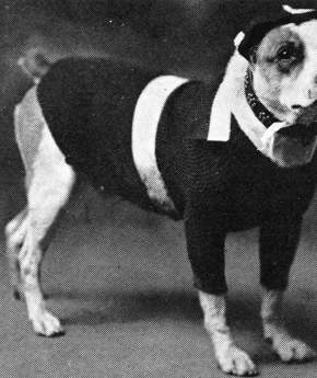 A Ghostly Guide To Norman