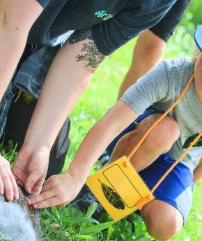 Inspiring Young Naturalists: Summer Camp at the Natural History Museum
