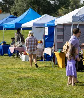 Art in the Park