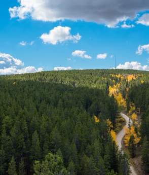 Aerial View of a Forest in Casper, WY