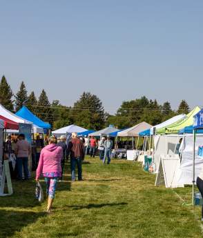 Art in the Park 2025 at Mike Cedar Park