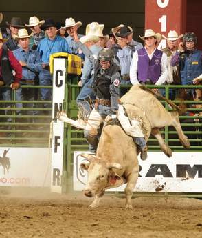 Rodeos
