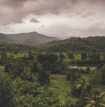 5 Best Places To Enjoy Blue Mountain Coffee with Stunning Views
