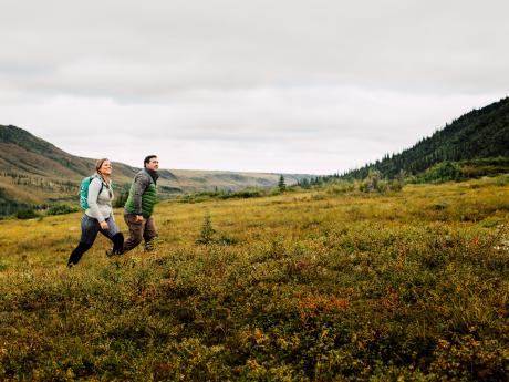Denali Backcountry Lodge