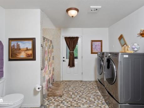 Guest Bathroom downstairs