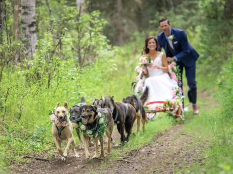 Weddings