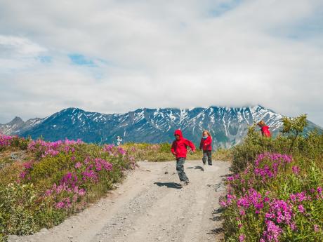 family friendly adventures in alaska