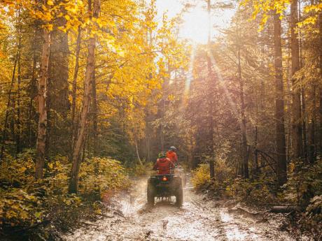 Fall in Alaska