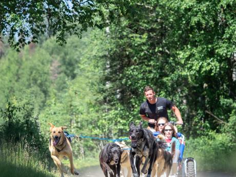 17th-Dog Crew — Alaskan Husky Adventures