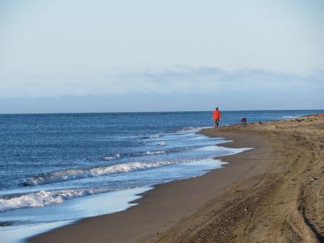 Arctic Ocean beach in Utqiagvik
