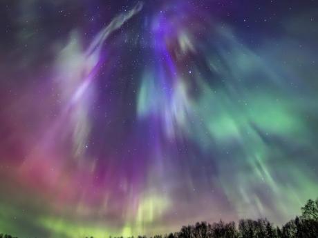 Corona of Colors