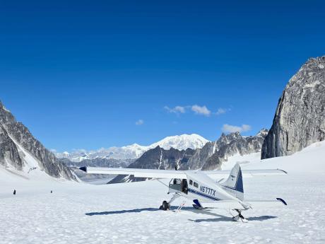 Glacier Landing - The Pika