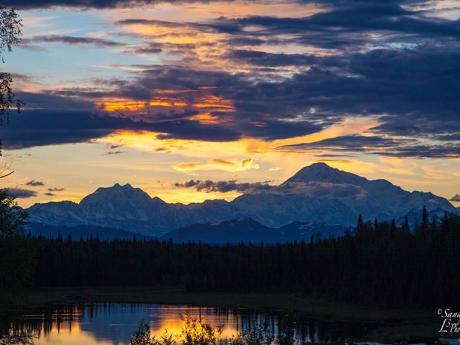 Denali from Gate Creek Lodge